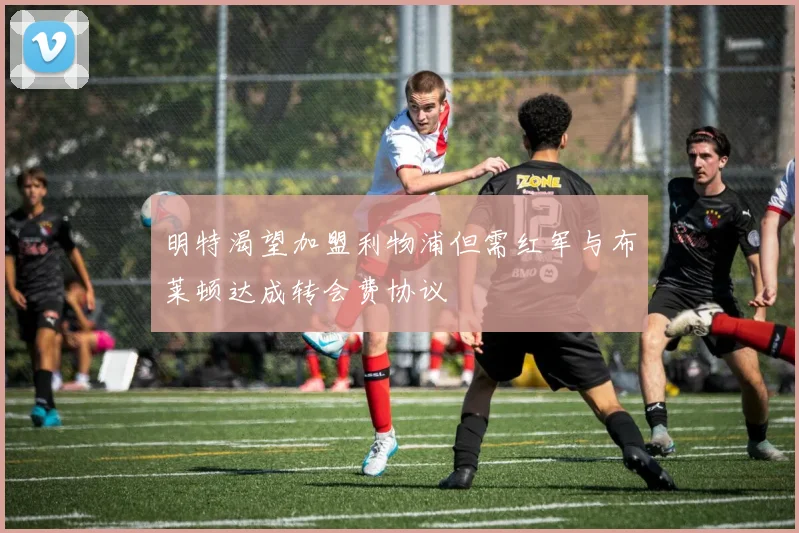 明特渴望加盟利物浦但需红军与布莱顿达成转会费协议