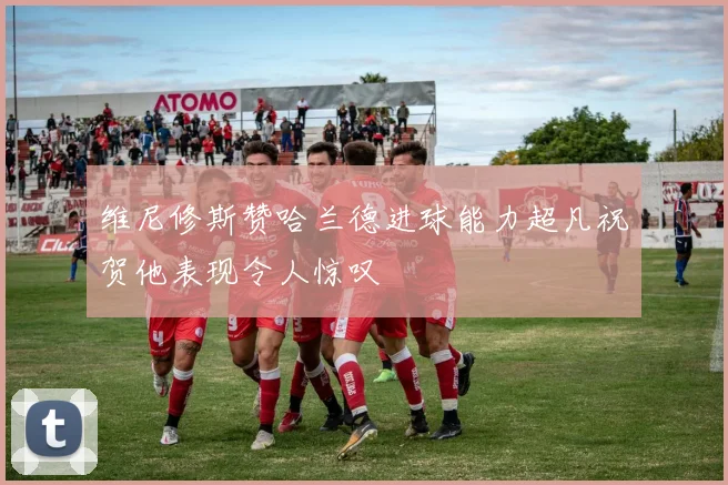 维尼修斯赞哈兰德进球能力超凡祝贺他表现令人惊叹