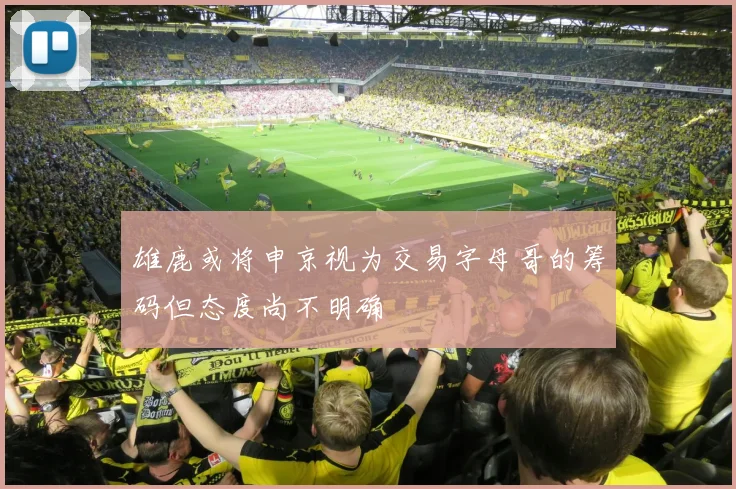 雄鹿或将申京视为交易字母哥的筹码但态度尚不明确