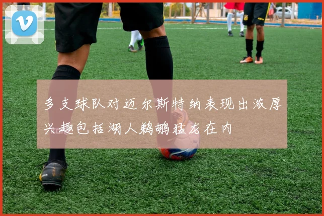 多支球队对迈尔斯特纳表现出浓厚兴趣包括湖人鹈鹕猛龙在内
